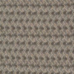 Robert Allen Bamenda Terrain 263018 Indoor Upholstery Fabric