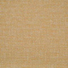 Robert Allen Contract Code Matrix Caramel Indoor Upholstery Fabric