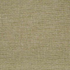 Robert Allen Contract Code Matrix Sage Indoor Upholstery Fabric