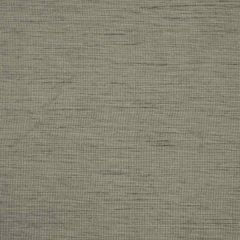 Robert Allen Plain Elegance Steel II 193889 Natural Textures Collection Multipurpose Fabric