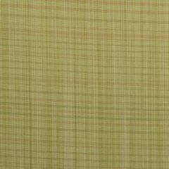 Duralee 1215 28-Sprout 263586 Indoor Upholstery Fabric