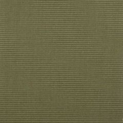 Duralee 1231 54-Pine 263669 Indoor Upholstery Fabric