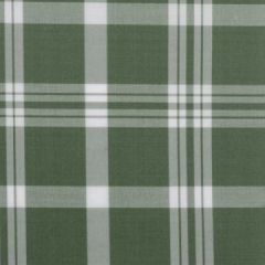 Duralee 6011 55-Shamrock 264025 Indoor Upholstery Fabric