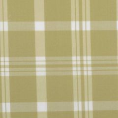 Duralee 6011 59-Wild Lime 264087 Indoor Upholstery Fabric
