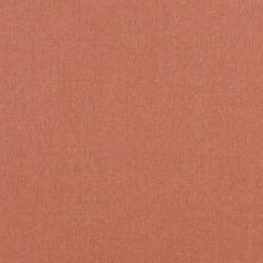 Baker Lifestyle Carnival Plain Spice PF50420-330 Carnival Collection Multipurpose Fabric