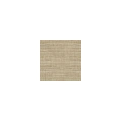 Kravet Basics Textural Silk Stone 26475-106  Indoor Upholstery Fabric