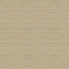 Lee Jofa Spectre Silk Sand 2009147-106  Indoor Upholstery Fabric