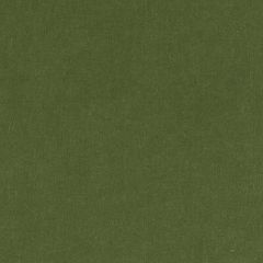 Duralee 15725 Green 2 Indoor Upholstery Fabric