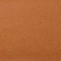 Kravet Design Brown Caswell 12 Indoor Upholstery Fabric