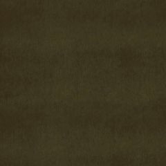 Duralee 15644 Olive 22 Indoor Upholstery Fabric
