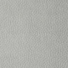 Duralee DU15800 Dove 159 Indoor Upholstery Fabric