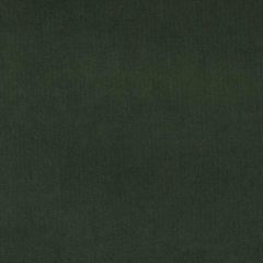 Duralee 15619 Evergreen 323 Indoor Upholstery Fabric