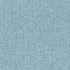 Duralee DU15811 Aqua 19 Indoor Upholstery Fabric