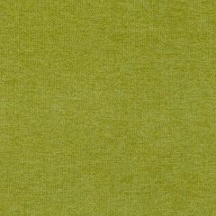Duralee DU15811 Lime 213 Indoor Upholstery Fabric