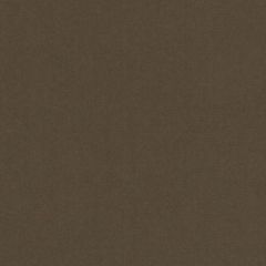 Duralee 15726 10-Brown 268079 Indoor Upholstery Fabric