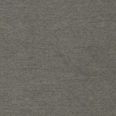 Duralee DU15811 Metal 526 Indoor Upholstery Fabric