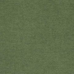 Duralee DU15811 Grass 597 Indoor Upholstery Fabric