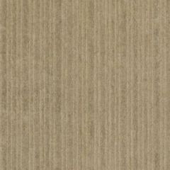 Duralee Dw16143 289-Espresso 268123 Upholstery Fabric