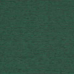 Robert Allen Contract South Coast Emerald 230159 Indoor Upholstery Fabric