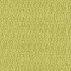 Duralee 15744 399-Pistachio 268313 Crypton Home Wovens I Collection Indoor Upholstery Fabric