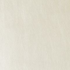 Duralee DF16135 Vanilla 522 Indoor Upholstery Fabric