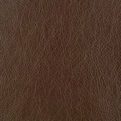 Duralee 15533 Brown 10 Indoor Upholstery Fabric