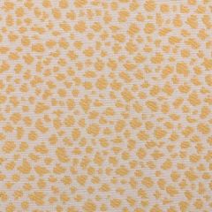 Duralee 1266 22-Sunbeam 268853 Indoor Upholstery Fabric