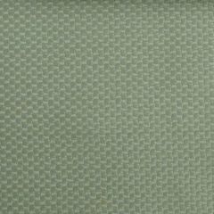 Duralee 15511 399-Pistachio 269341 Pavilion V Bella-Dura Indoor/Outdoor Wovens Collection Upholstery Fabric