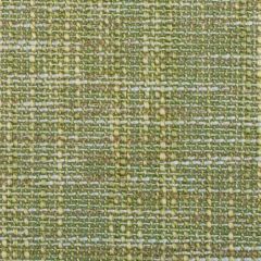 Duralee 15552 597-Grass 269683 Wainwright Traditional II Collection Indoor Upholstery Fabric