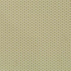 Robert Allen Distant Hills Lettuce 508659 Epicurean Collection Indoor Upholstery Fabric