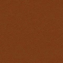 Kravet Contract Bess Orange 24 Faux Leather Indoor Upholstery Fabric