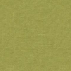 Lee Jofa Dublin Linen Meadow 2012175-3 Multipurpose Fabric