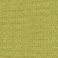 Mayer Sydney Citrus 456-013 Tourist Collection Indoor Upholstery Fabric