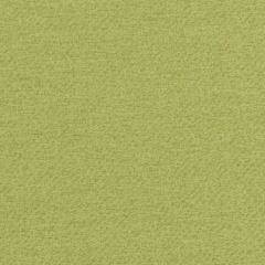 Duralee 15746 2-Green 271610 Crypton Home Wovens I Collection Indoor Upholstery Fabric