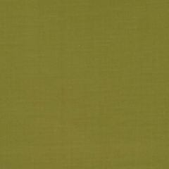 Duralee 15645 Grass 597 Indoor Upholstery Fabric