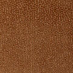 Duralee DU15800 Orange 36 Indoor Upholstery Fabric