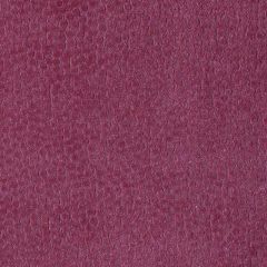 Duralee DU15800 Azalea 648 Indoor Upholstery Fabric