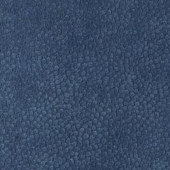 Duralee DU15800 Cadet 76 Indoor Upholstery Fabric