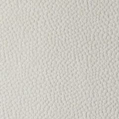 Duralee DU15800 Ivory 84 Indoor Upholstery Fabric