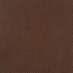 Duralee 15517 Brown 10 Indoor Upholstery Fabric