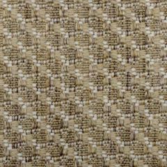 Duralee 1162 Reed 9 Indoor Upholstery Fabric