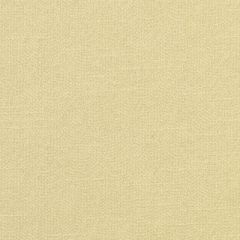 Duralee Buttercup 32811-610 Decor Fabric