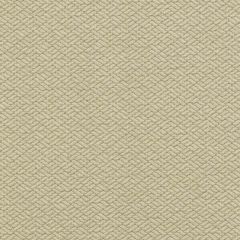 Duralee 15737 Tan 13 Indoor Upholstery Fabric