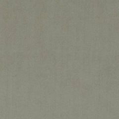 Duralee DV15862 Taupe 120 Indoor Upholstery Fabric