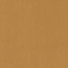 Duralee Dv15862 131-Amber 273874 Indoor Upholstery Fabric