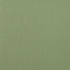 Duralee 1218 53-Meadow 274264 Indoor Upholstery Fabric