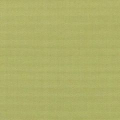 Duralee 15686 254-Spring Green 275491 Indoor/Outdoor Wovens Pavilion Collection Upholstery Fabric