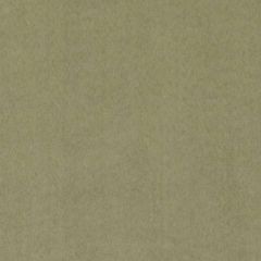 Duralee DF16038 Kiwi 554 Indoor Upholstery Fabric