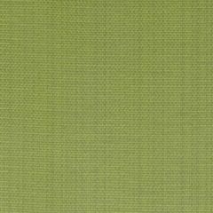 Duralee Dw16172 2-Green 275679 Carousel All Purpose Collection Indoor Upholstery Fabric