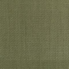 Kravet Basics Stone Harbor Spring Green 27591-3033  Multipurpose Fabric